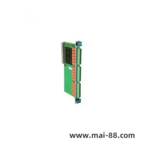 Vibro-Meter VM600 200-595-067-114 Monitoring Module