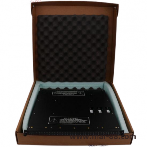 TRICONEX 9562-810 High-Accuracy Industrial Control Module